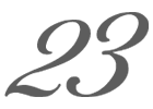 23位