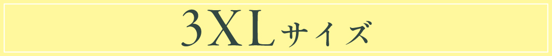 3xlサイズ